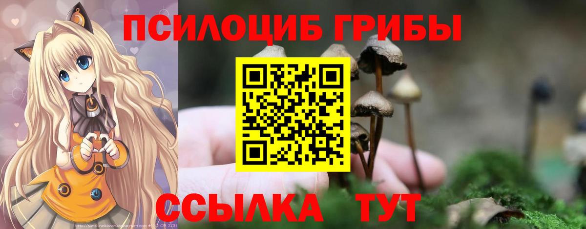 Галлюциногенные грибы Magic Shrooms  Галлюциногенные грибы мицелий  Вход с VPN  купить наркотики цена  Ачхой-Мартан 